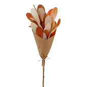 CAJUZIN-TERRACOTA-FIBRA-CLARA-CAJUZIN_ST0