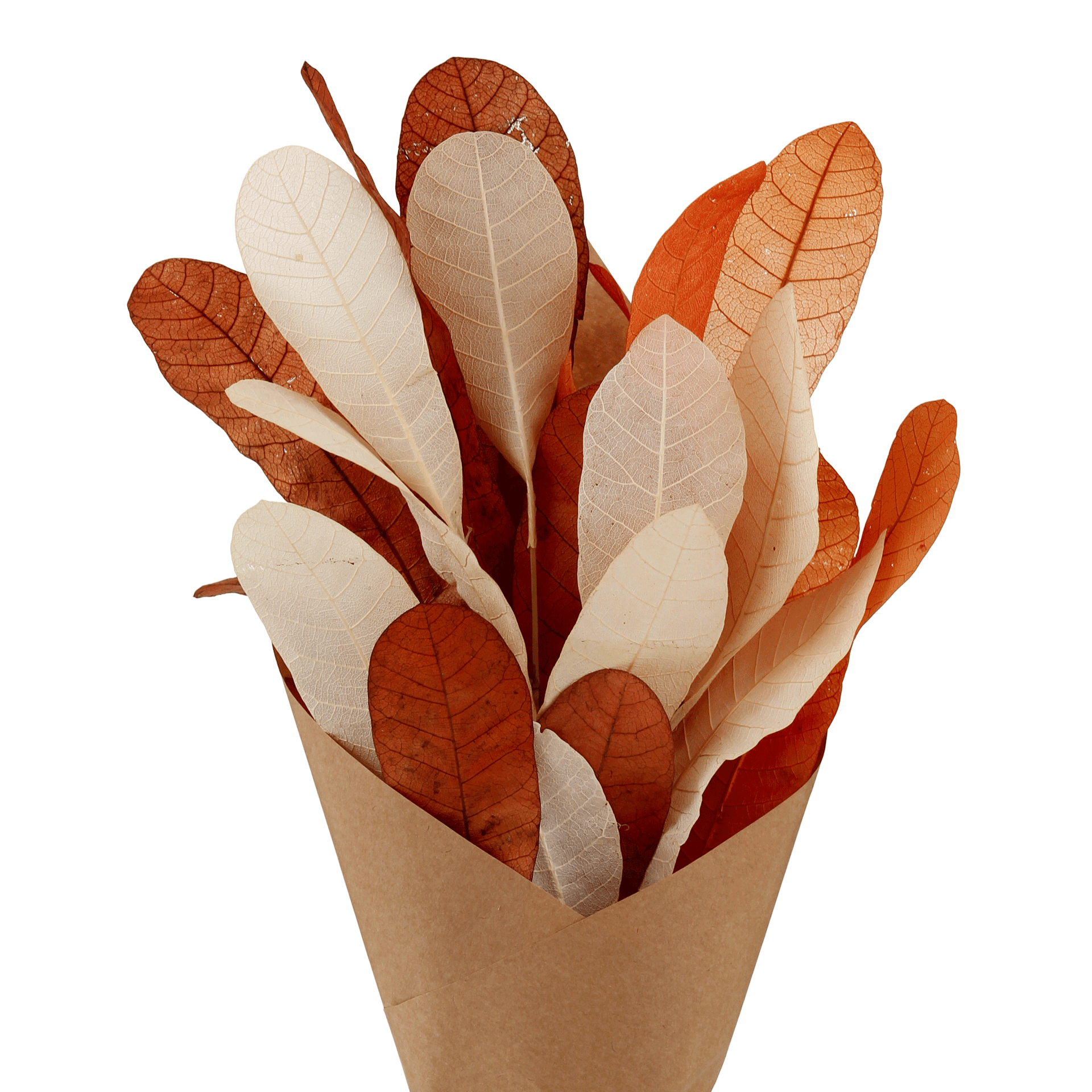 CAJUZIN-TERRACOTA-FIBRA-CLARA-CAJUZIN_ST3