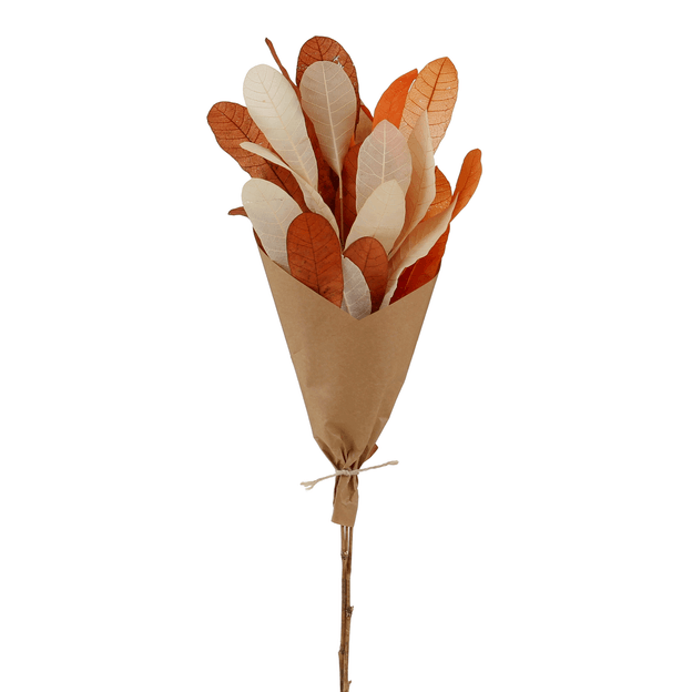 CAJUZIN-TERRACOTA-FIBRA-CLARA-CAJUZIN_ST0