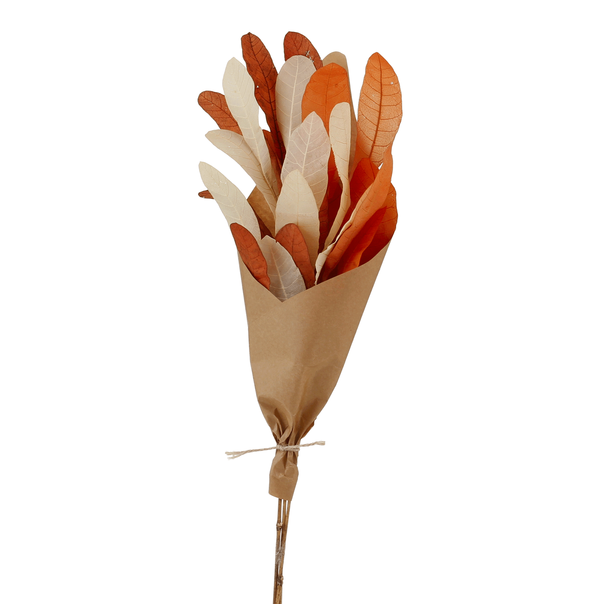 CAJUZIN-TERRACOTA-FIBRA-CLARA-CAJUZIN_ST1