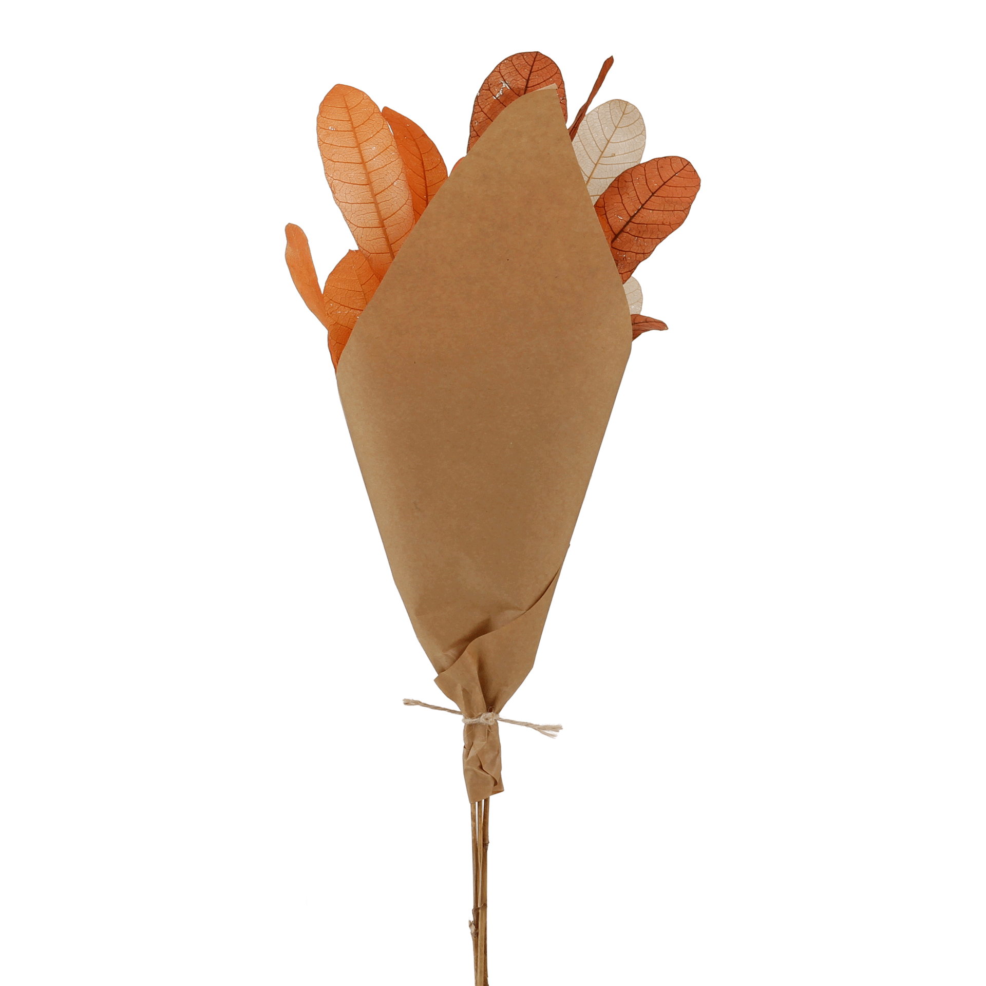 CAJUZIN-TERRACOTA-FIBRA-CLARA-CAJUZIN_ST2