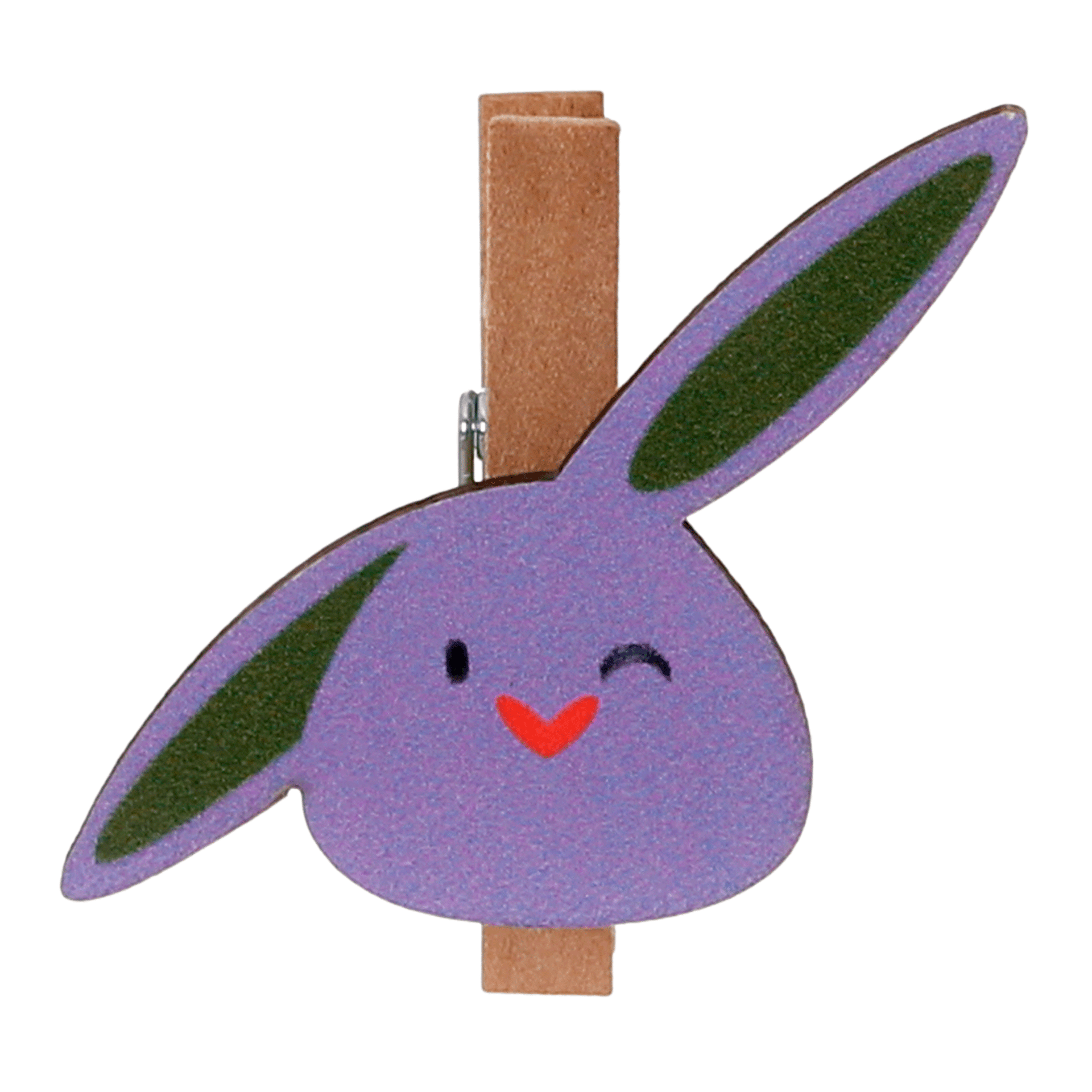 COM-6-PRENDEDORES-PASCOAMOR-SUCULENTA-MULTICOR-P-SCOAMOR_ST1