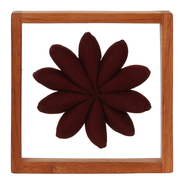 PAREDE-DISCOCACTUS-VERMELHO-DISCOCACTUS_ST2