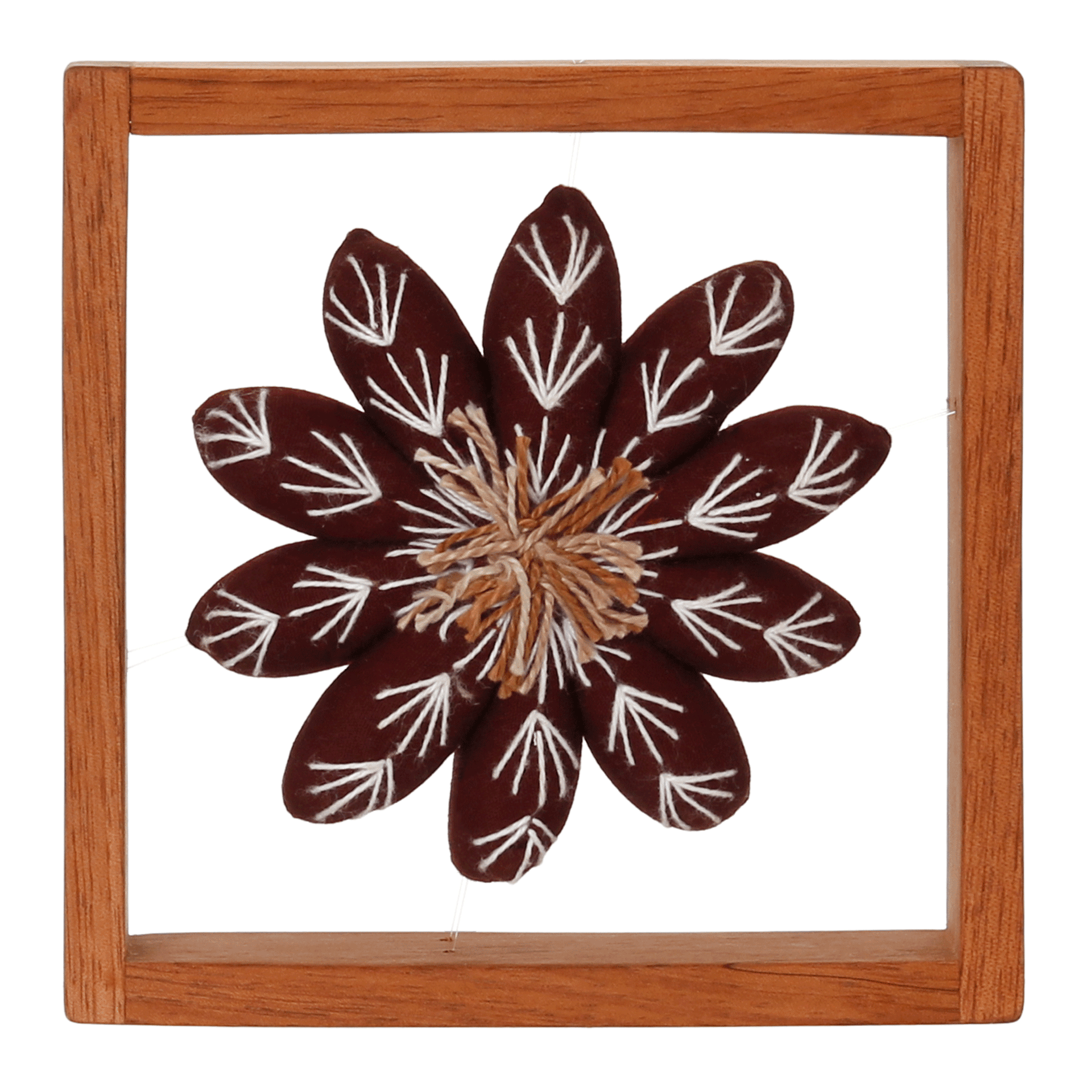 PAREDE-DISCOCACTUS-VERMELHO-DISCOCACTUS_ST0