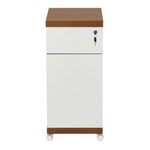 GAVETEIRO PARA ESCRITÓRIO 1 GAVETA/1 PORTA FIND