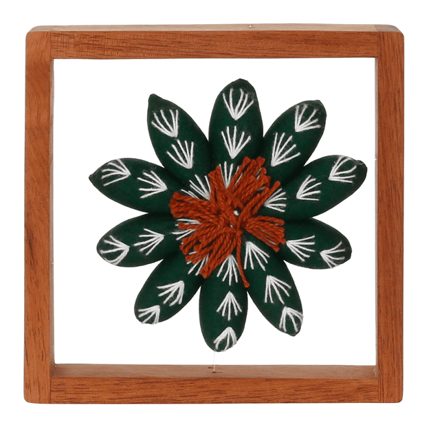 PAREDE-DISCOCACTUS-VERDE-DISCOCACTUS_ST1