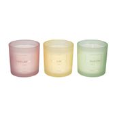 JARDIN-I-VELA-PERFUMADA-POTE-CAPIM-LIMAO-7-CM-X-X-CM-S-LVIA-BRANCO-MON-JARDIN_ST4